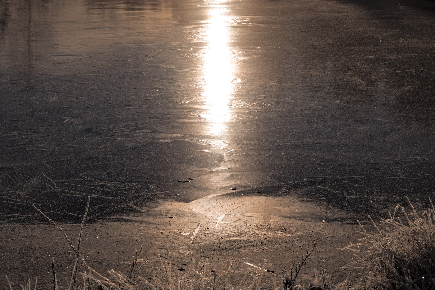 Sun at dawn reflected in a lake