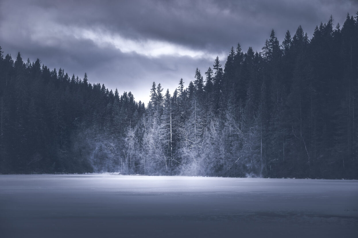 Blowing snow among the trees surrounding a frozen lake in Sweden