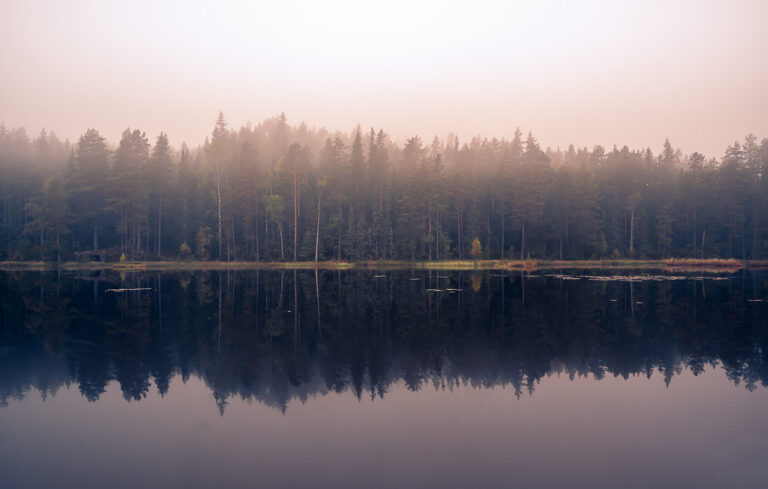 Forest reflection on the waters of a lake