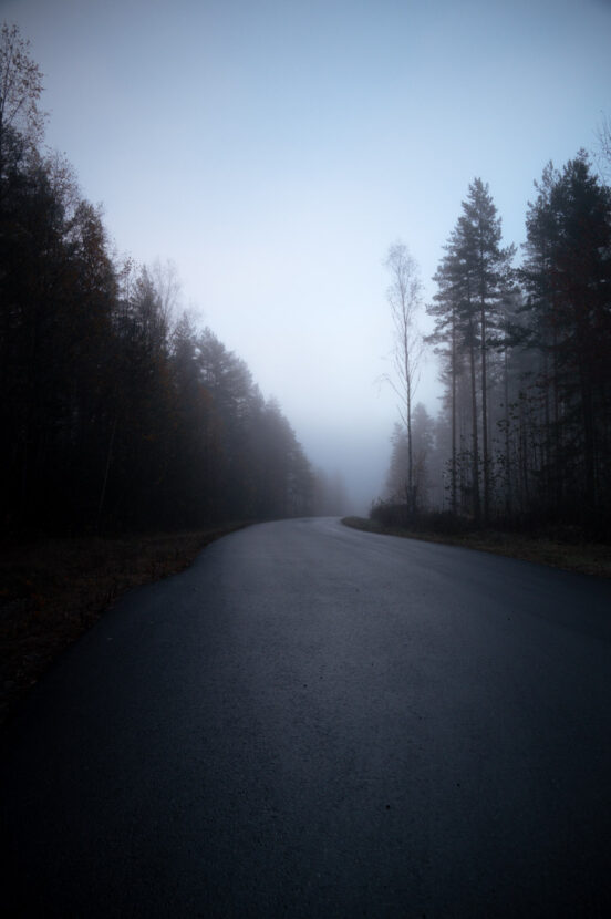 A bending road among the dark forest heading to the misty horizon at dawn
