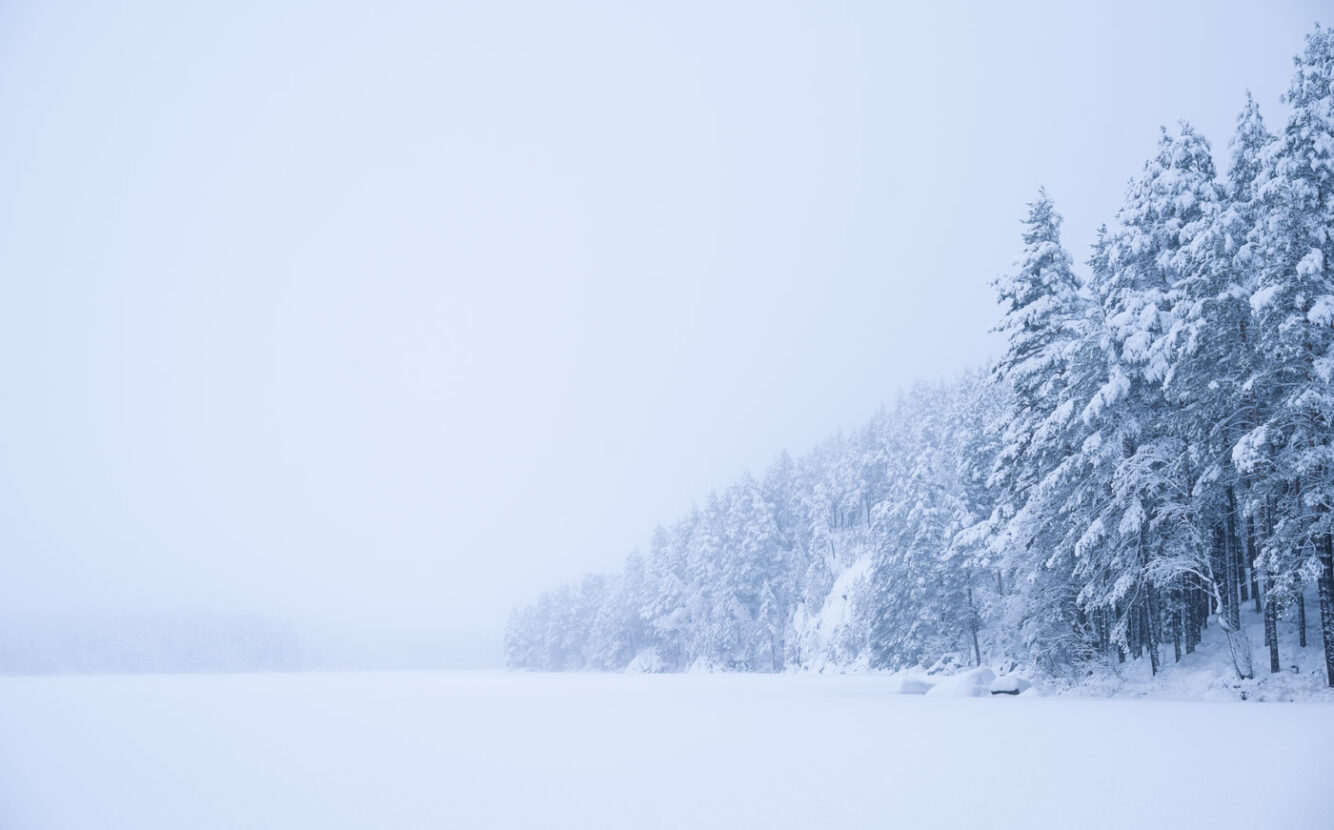 Sweden, magical snowy landscapes on a misty winter day