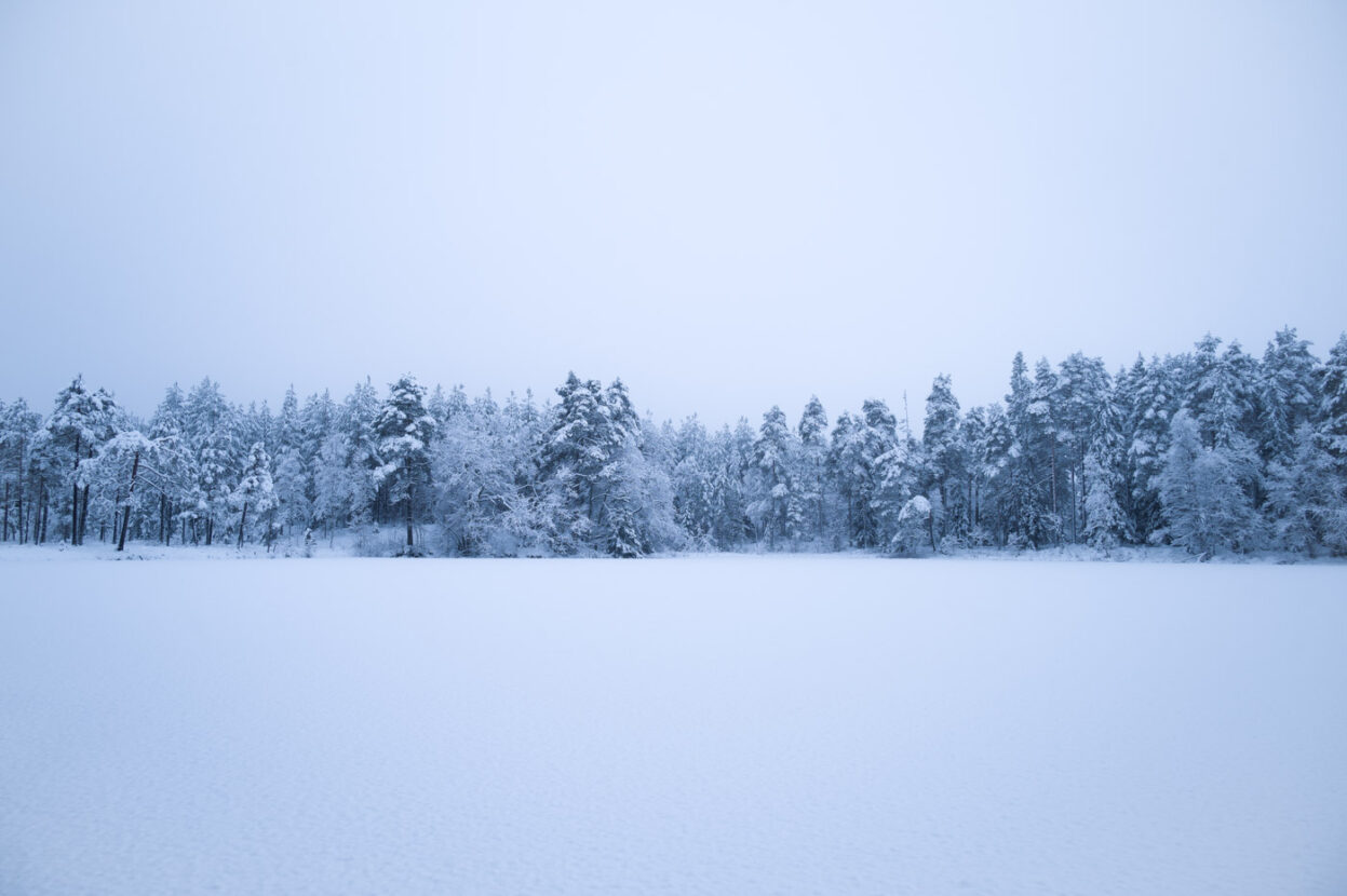 Sweden, Magical snowy landscape on a misty day