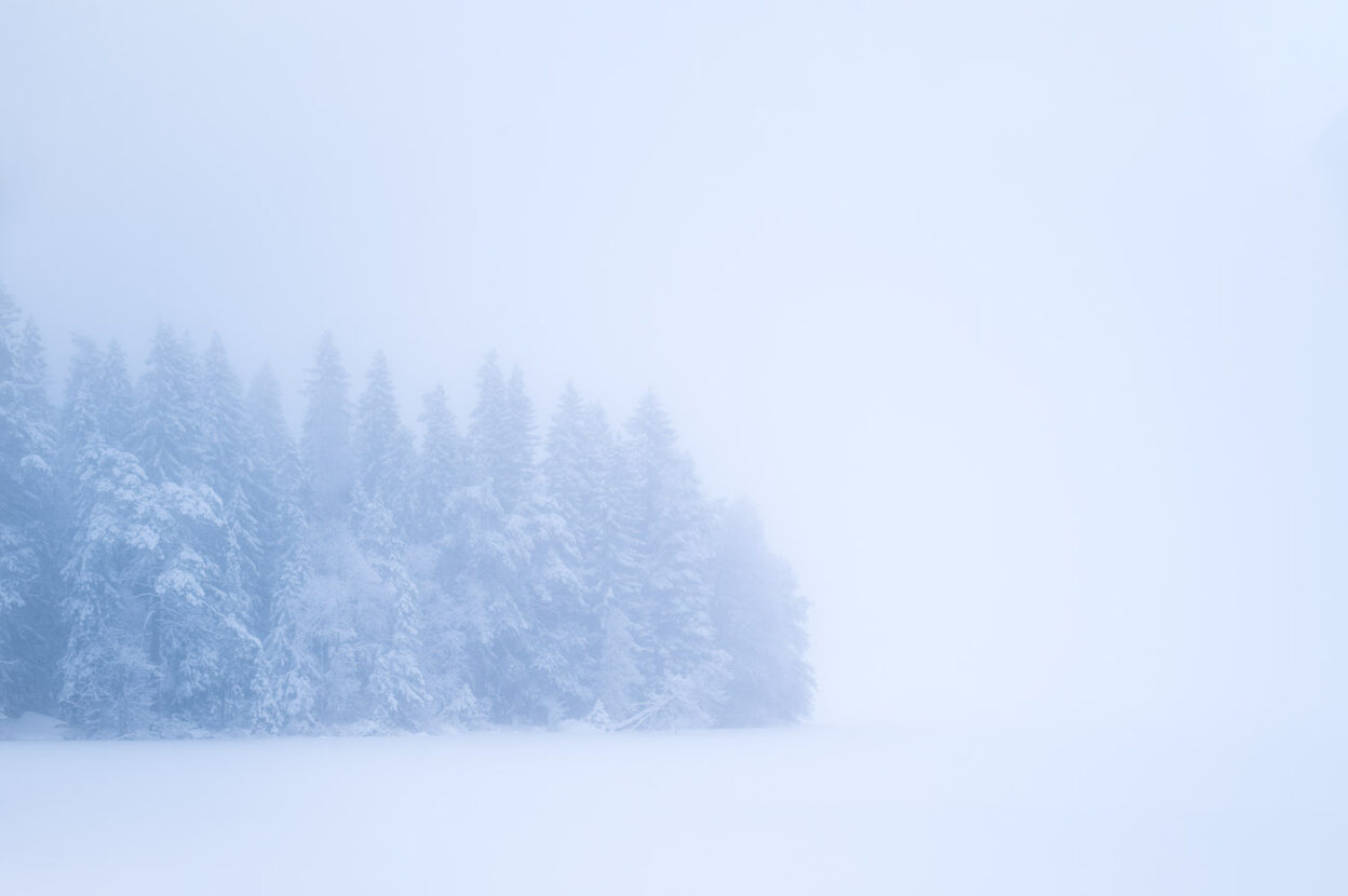 Fog over an icy lake surrounded by the forest in blue shades and tones