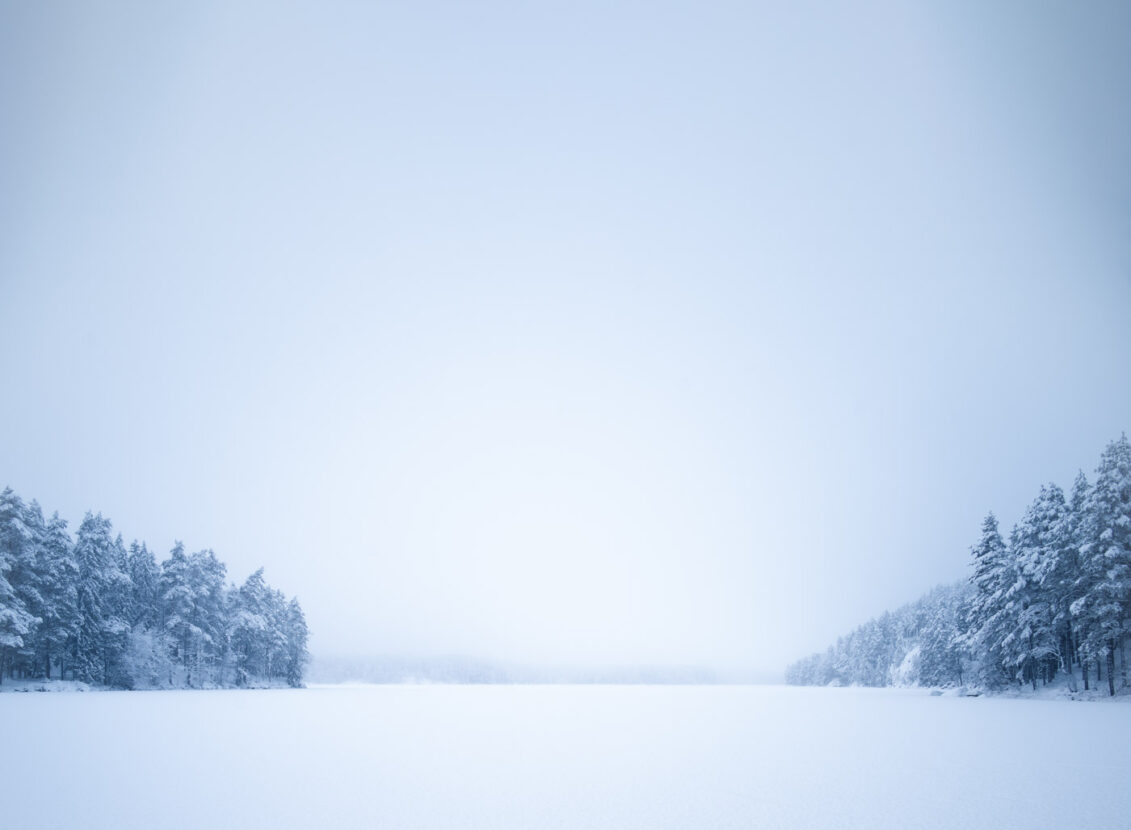 Sweden, Magical snowy landscapes on a misty winter day
