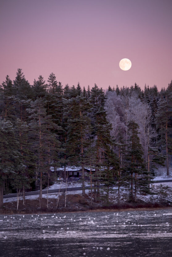 Sweden - Moon light over an icy forest lake