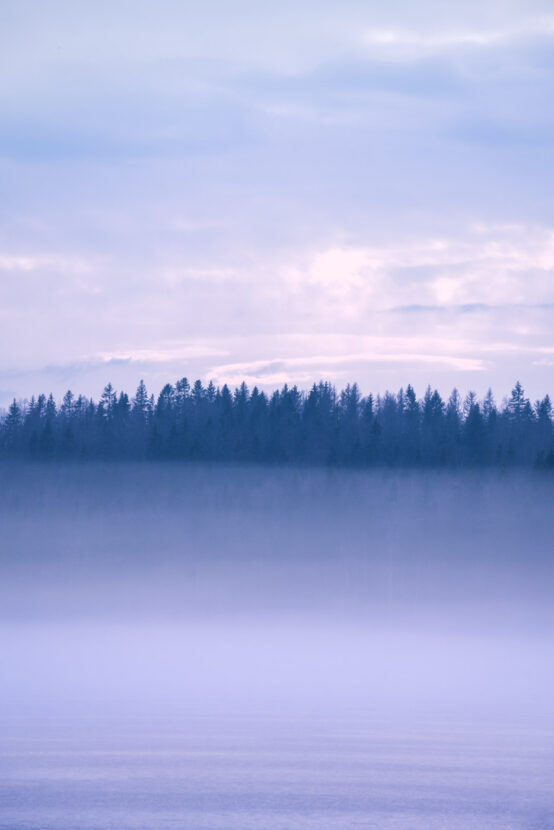 Misty forest lake in Sweden