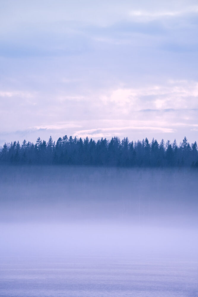 Misty forest lake in Sweden