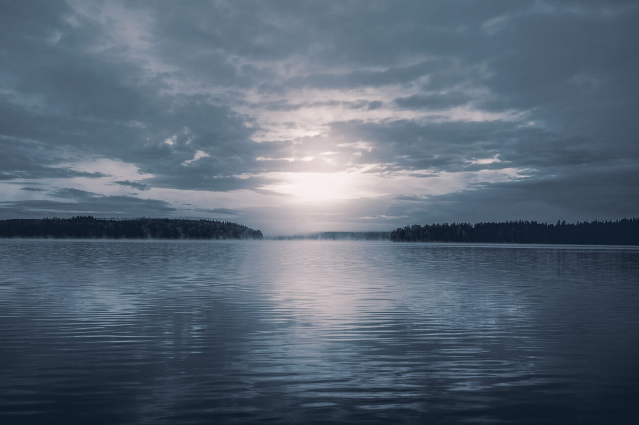 Mist over a forest lake in Sweden blue tones landscape