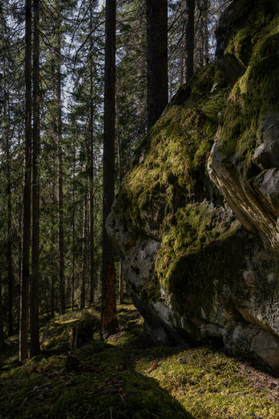 A giant boulder covered in moss in Salboknös nature reserve