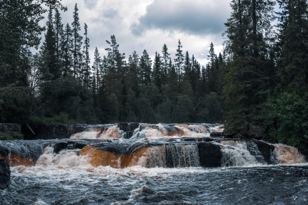 Roaring rapids surrounded by forests at Fjättfällen