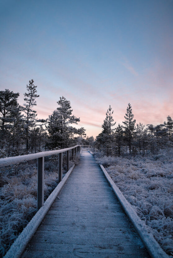 Footbridge at the entrance of Knuthöjdsmossen Nature reserve on cold winter day