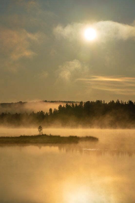Mist on a forest lake in Sweden on a hot sunny summer morning