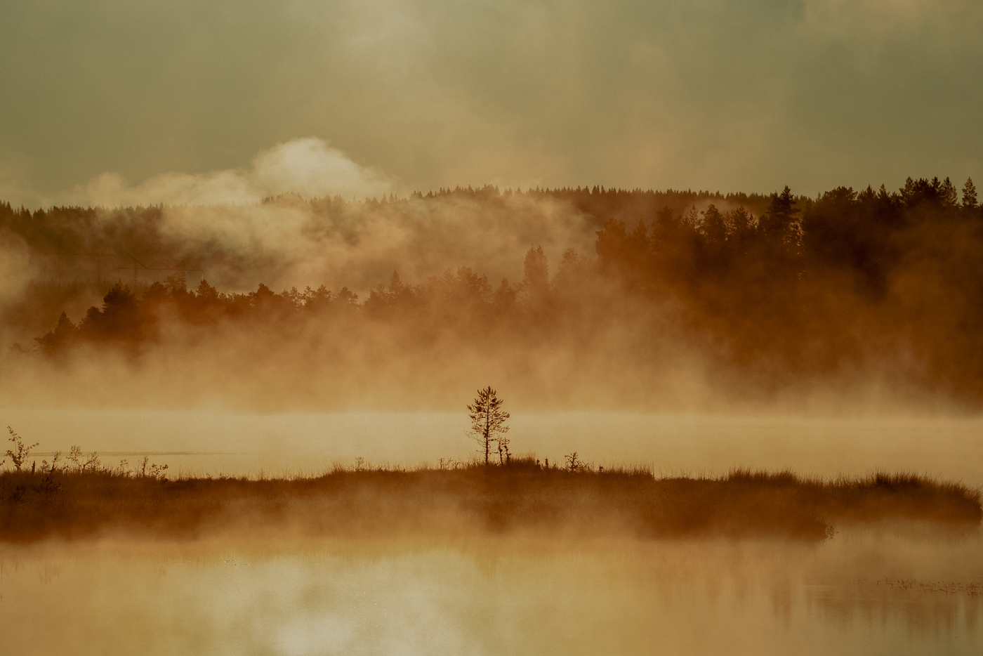 Mist like fire smoke over a forest lake in Sweden on a hot summer day