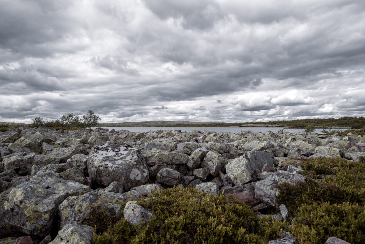 An expanse of rocks covered in lichen by a pond of the high wetlands of Fulufjället national park