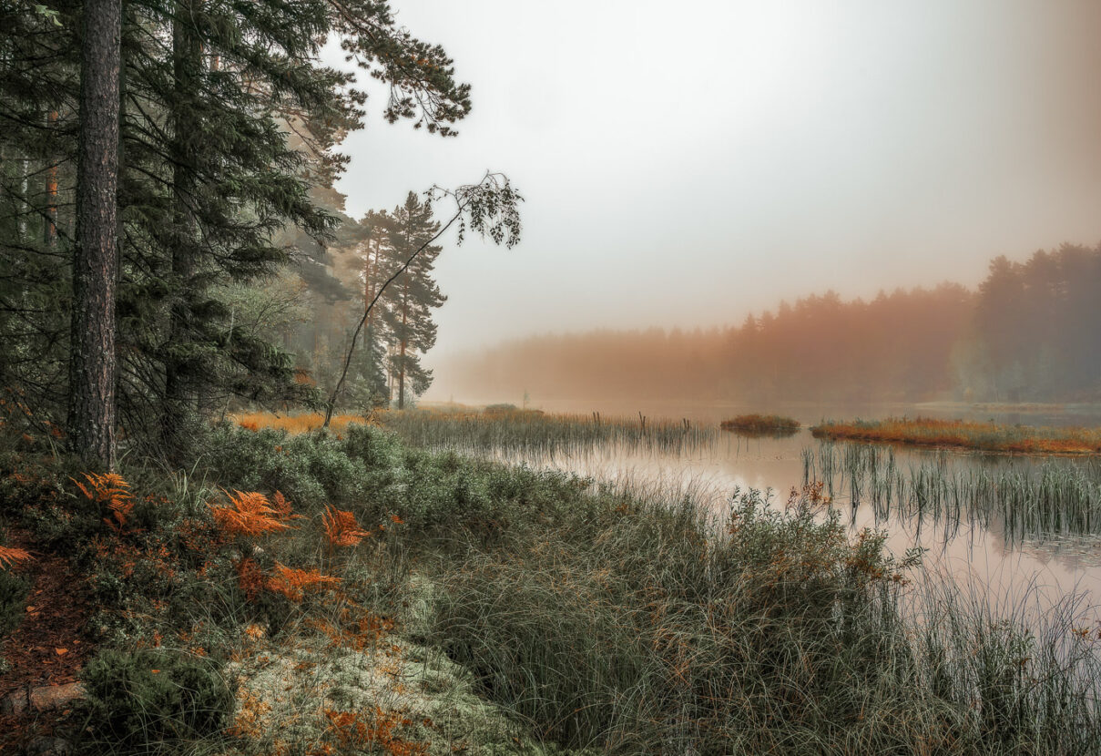 Colourful autumn misty landscape with painterfly feel