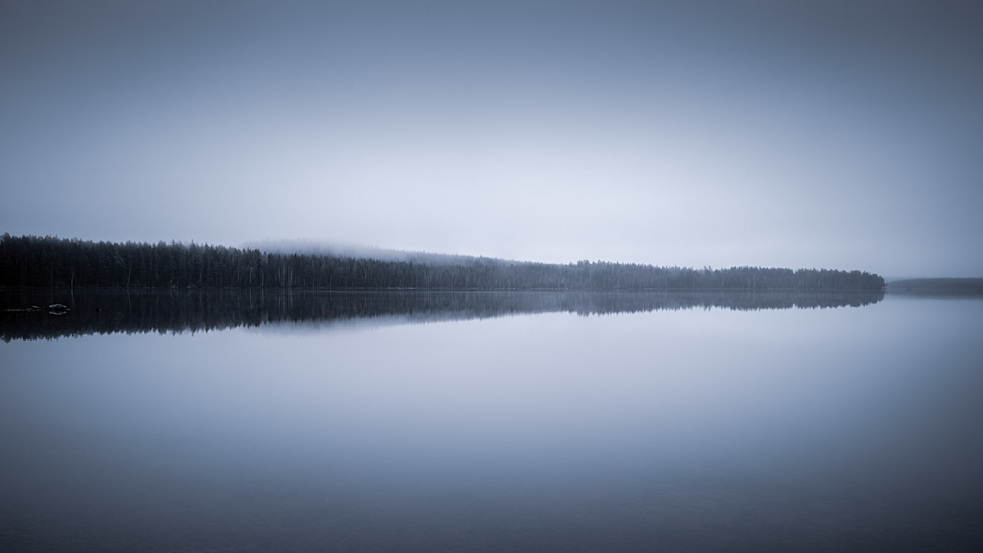 A forest on the shore of a lake is mirrored in the water on a misty day