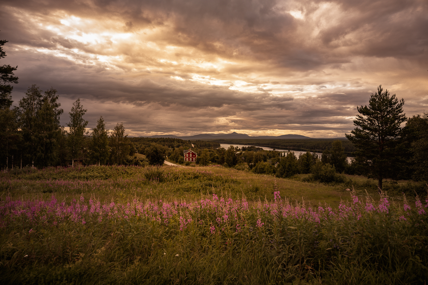 Summer landscape of North Dalarna with a typical Swedish house and flowery hills