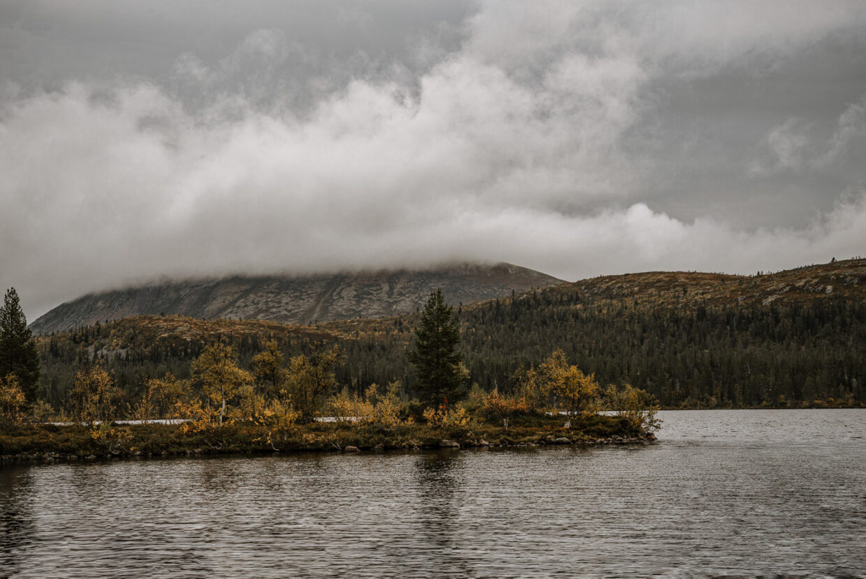 An inlet of a lake with autumn colors at the feet of Mount Fjätervålen
