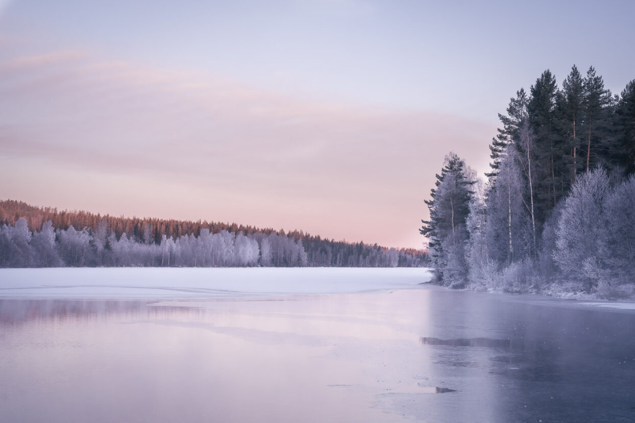 Pink light over a frozen lake in Sweden