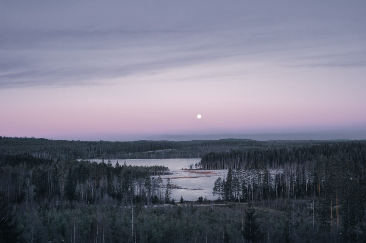 Hills covered in forests under the winter under the moonlight on a cold day oif the Swedish winter